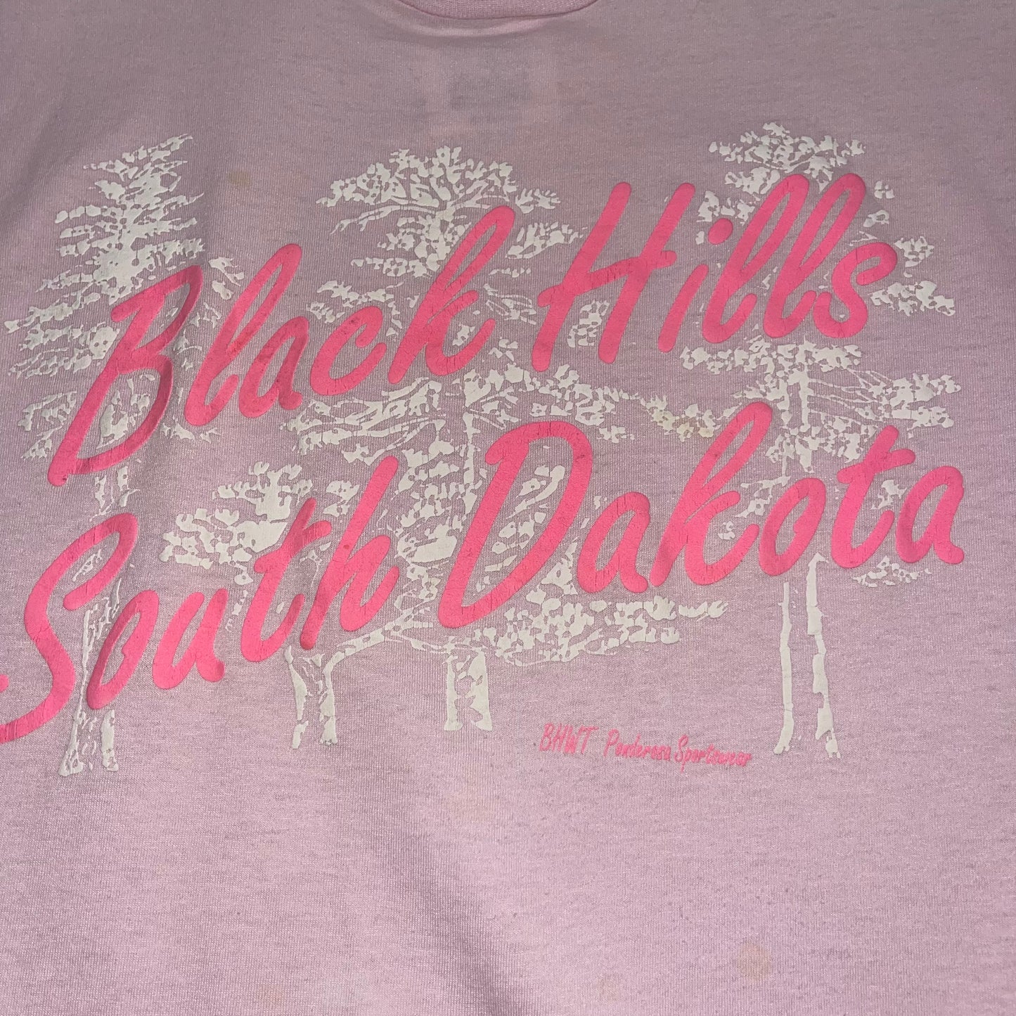 Vintage Black Hills South Dakota T-Shirt

Size Large